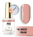 40. ANISEED PRALINE - lakier hybrydowy beżowy MOLLON LUXURY