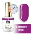 60. CRANBERRY PRALINE - lakier hybrydowy fioletowy neonowy MOLLON LUXURY