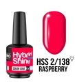2/138 RASPBERRY- lakier hybrydowy czerwony MOLLON HSS