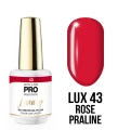 43. ROSE PRALINE - lakier hybrydowy bordowy MOLLON LUXURY